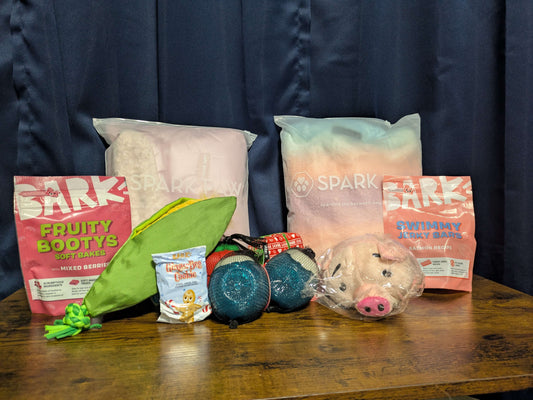 Bark Box Bundle - Large Dogs